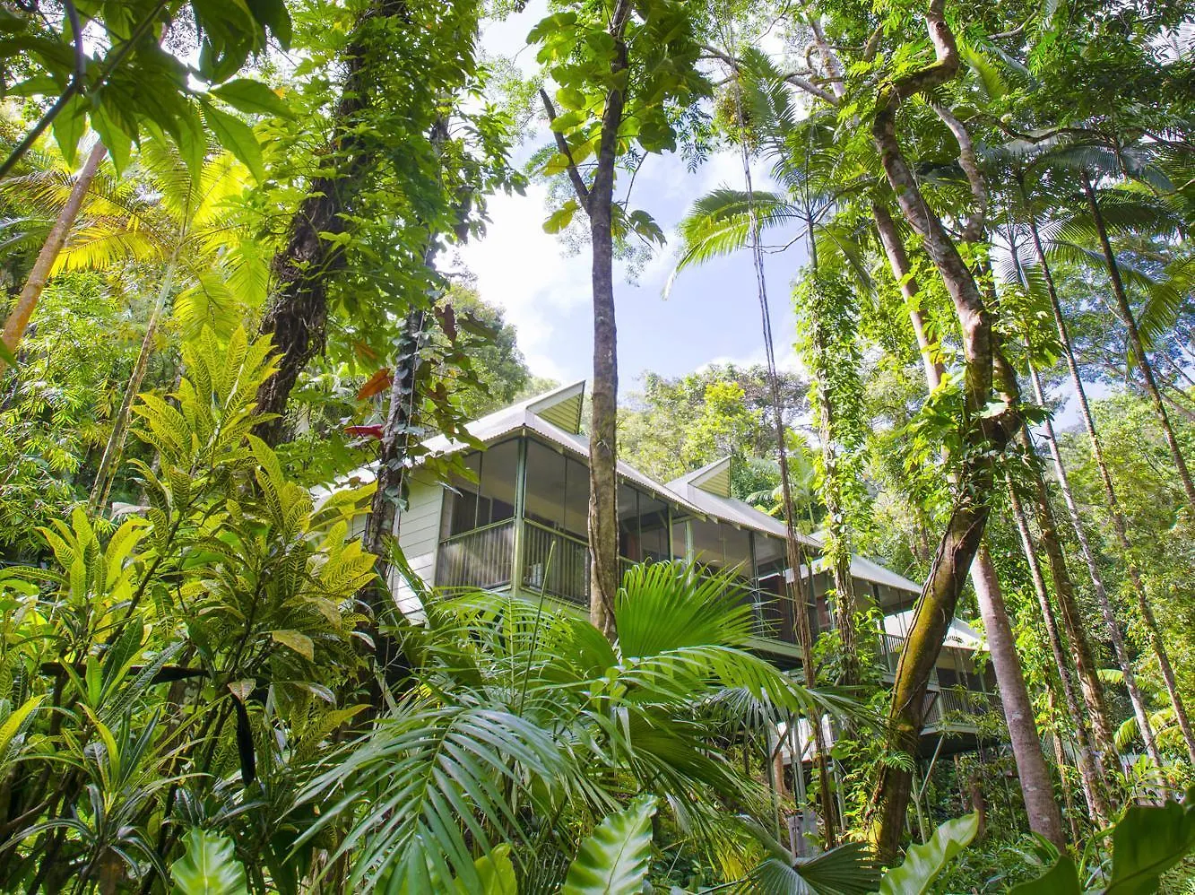Daintree Ecolodge Resort