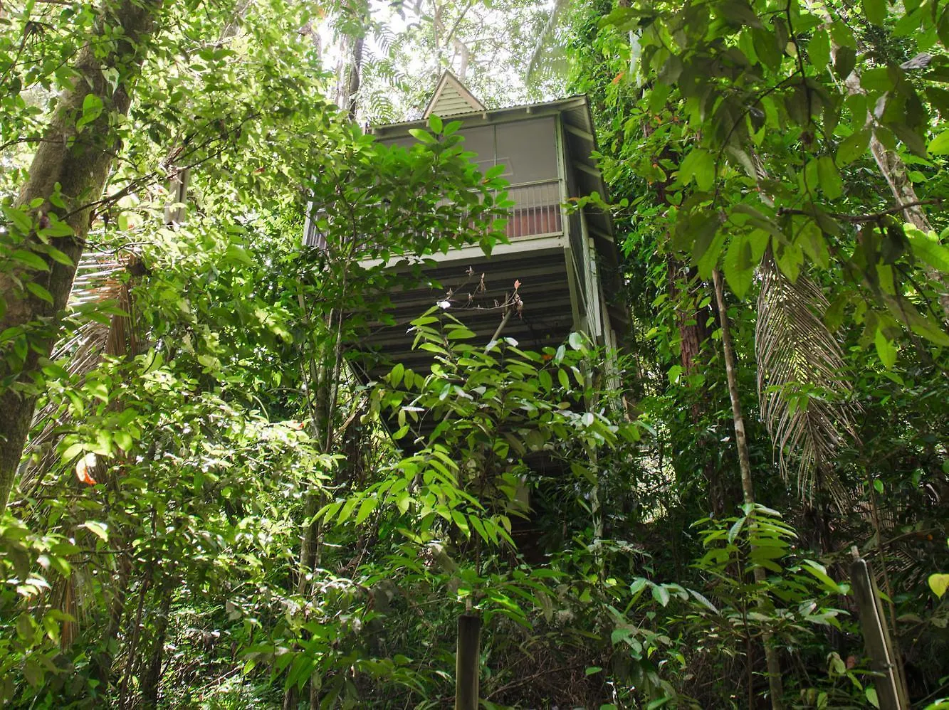 **** Resort Daintree Ecolodge Australia